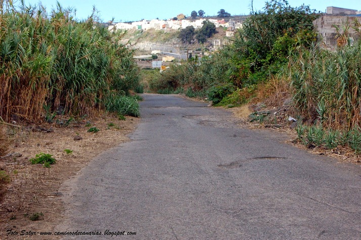 DSC_8632_Arucas_Bañaderos(Barranco_Arucas).JPG